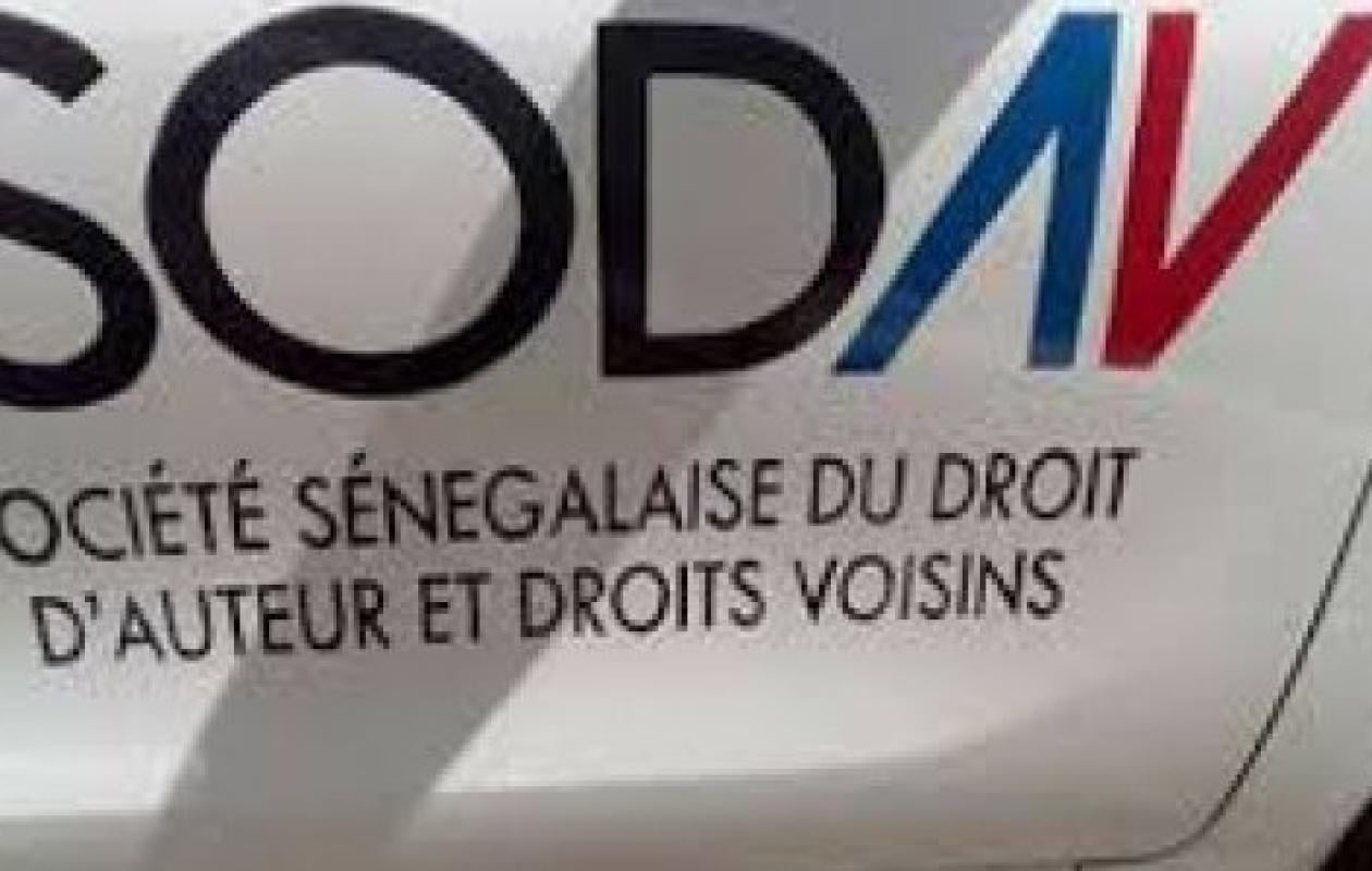 Rémunération pour copie privée : la SODAV salue une avancée décisive pour les créateurs sénégalais
