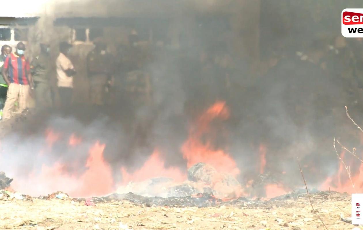 Ziguinchor : Plus de 5 milliards F CFA de billets noirs et 5 168 kg de chanvre indien incinérés en plus de faux médicaments