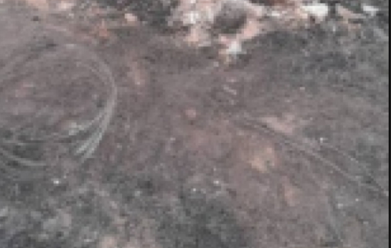 Drame à Fandène : Un champ d'arachides et de niébé d'un hectare réduit en centres