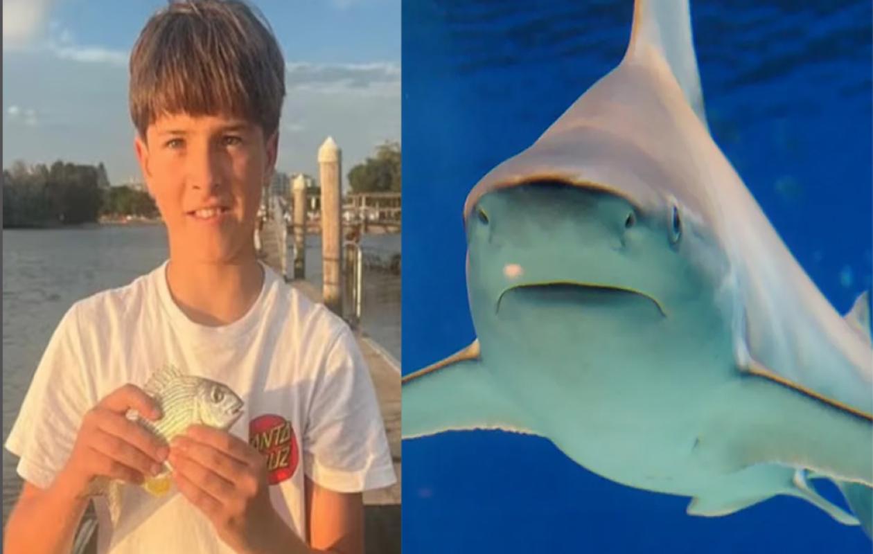 Australie: un enfant de 12 ans meurt des suites d'une attaque de requin