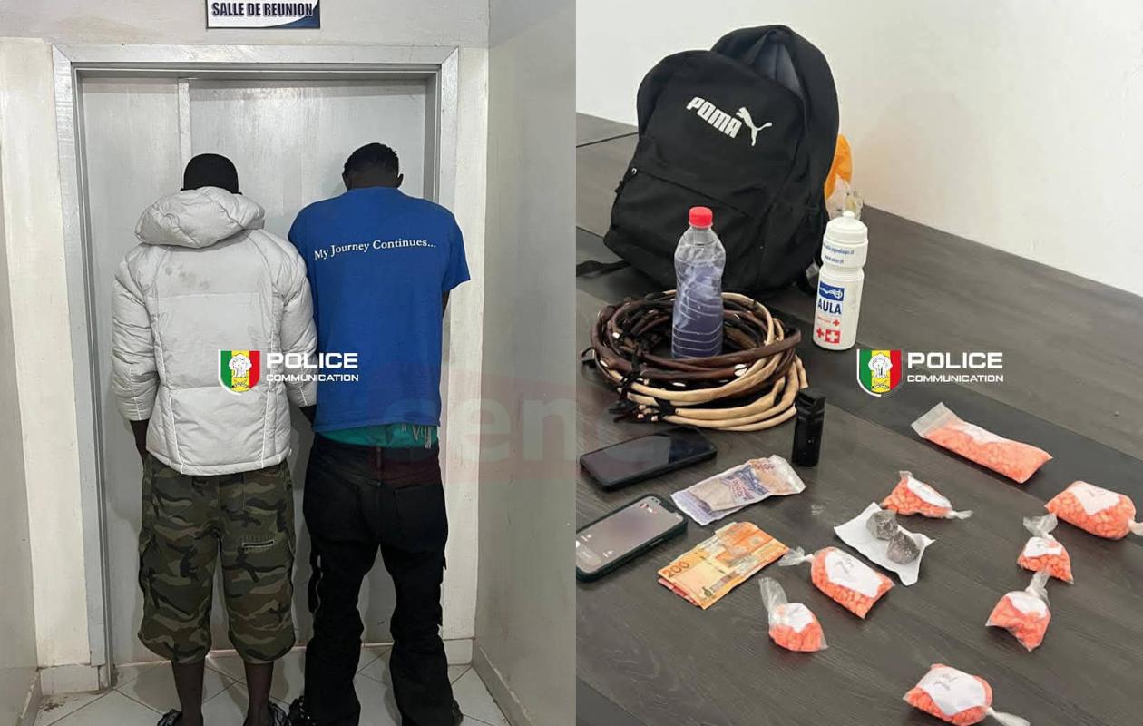 Thiaroye : démantèlement d’un réseau de trafic de drogues de synthèse, deux individus arrêtés