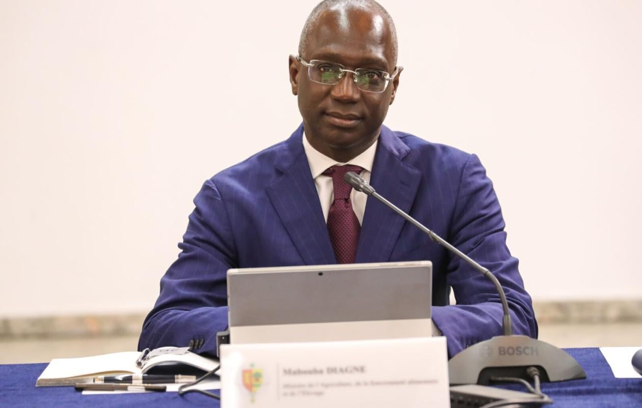Souveraineté alimentaire : Mabouba Diagne prône une maîtrise totale de la chaîne « du sol à l’assiette »
