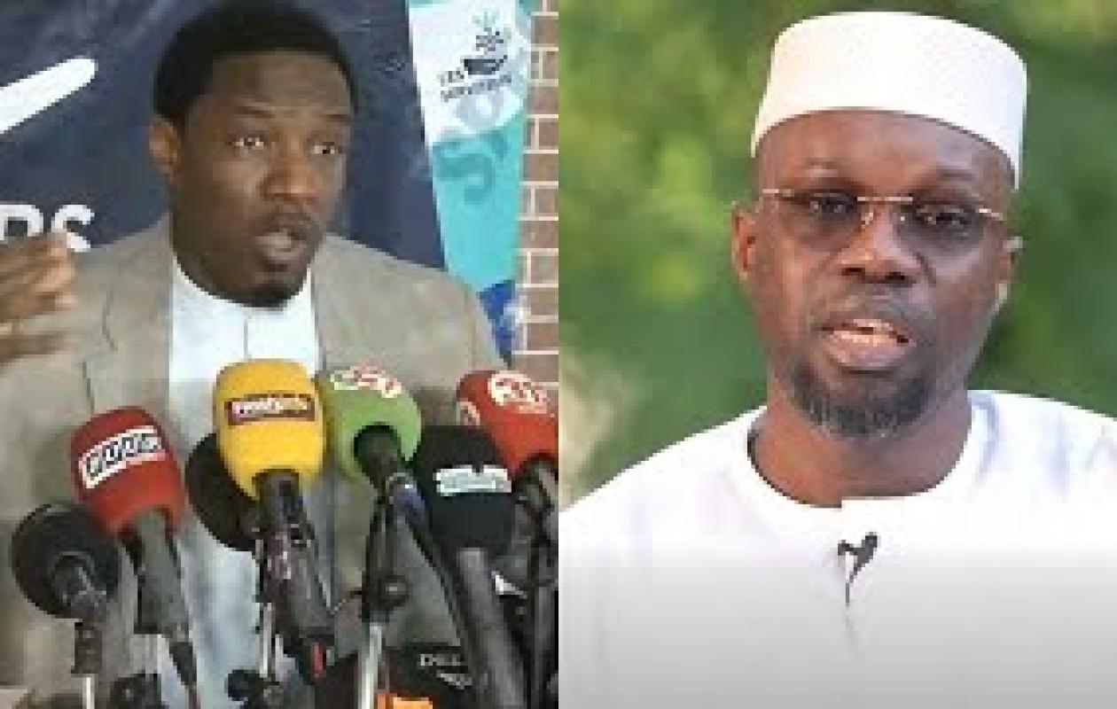 «Quelle calamité !» : Pape Djibril Fall outré par la sortie de Sonko sur la Justice