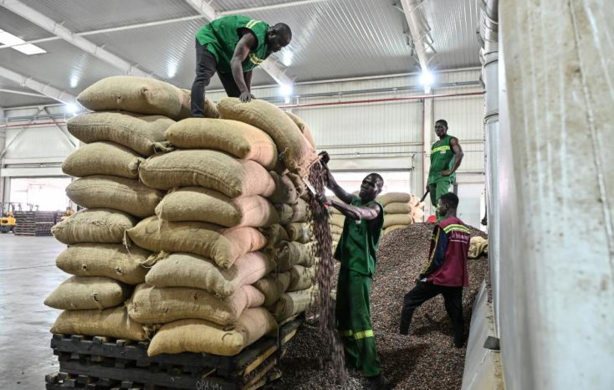 Côte d'Ivoire: l'Etat a commencé l'achat des stocks de cacao pour résoudre la crise