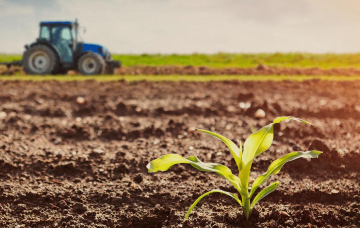 La campagne agricole 2025‑2026 : Plus de 400 milliards F CFA mobilisés ...