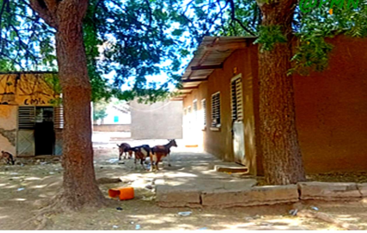 Matam : La grève du G7 paralyse le système scolaire