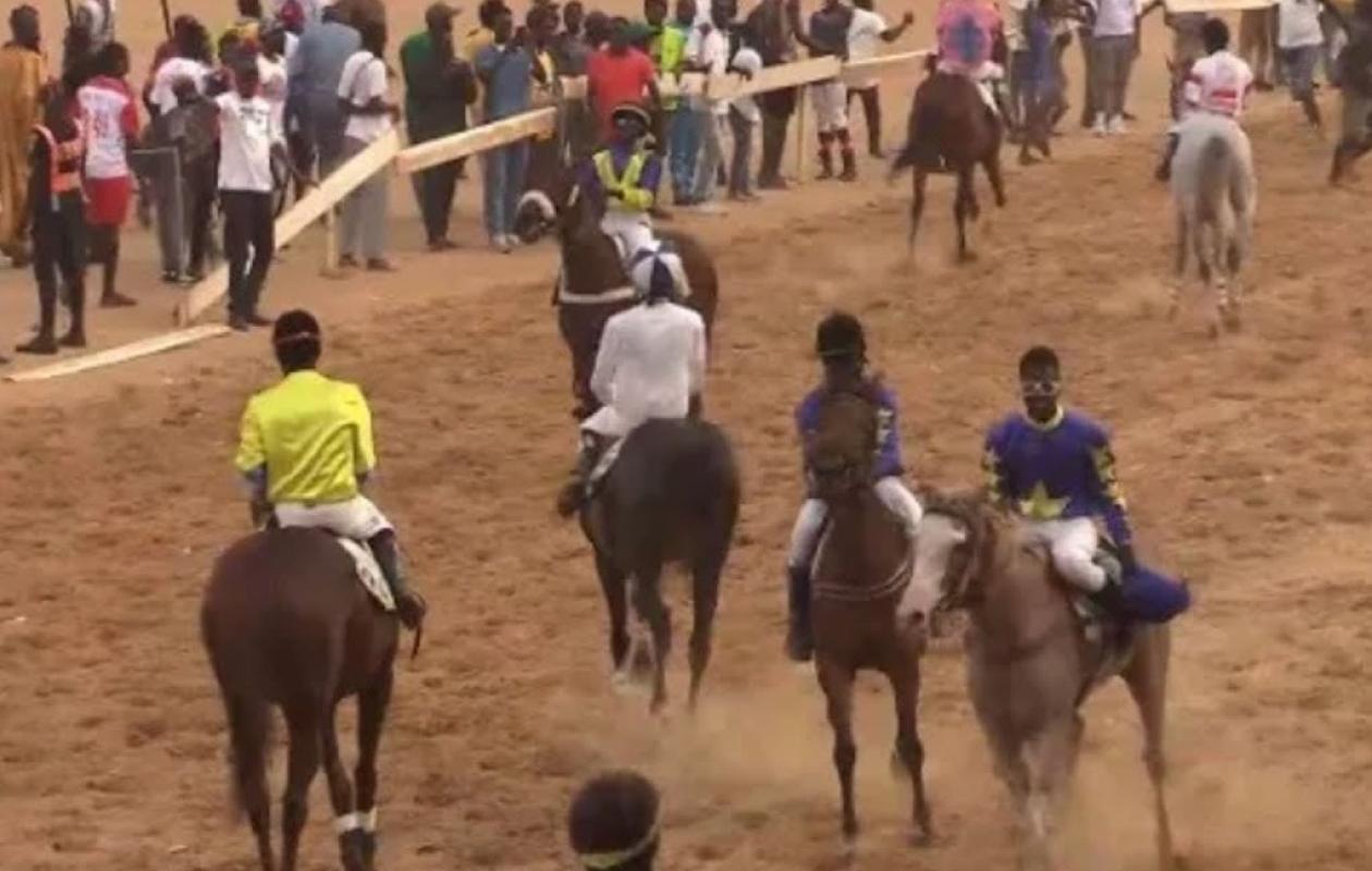 Courses hippiques : vague de démissions après...