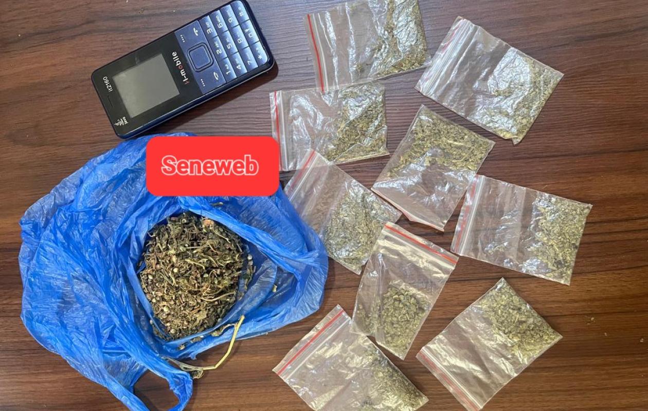 Forêt de Boune : 2 dealers sur une moto pris en flagrant délit avec du kush et du chanvre indien