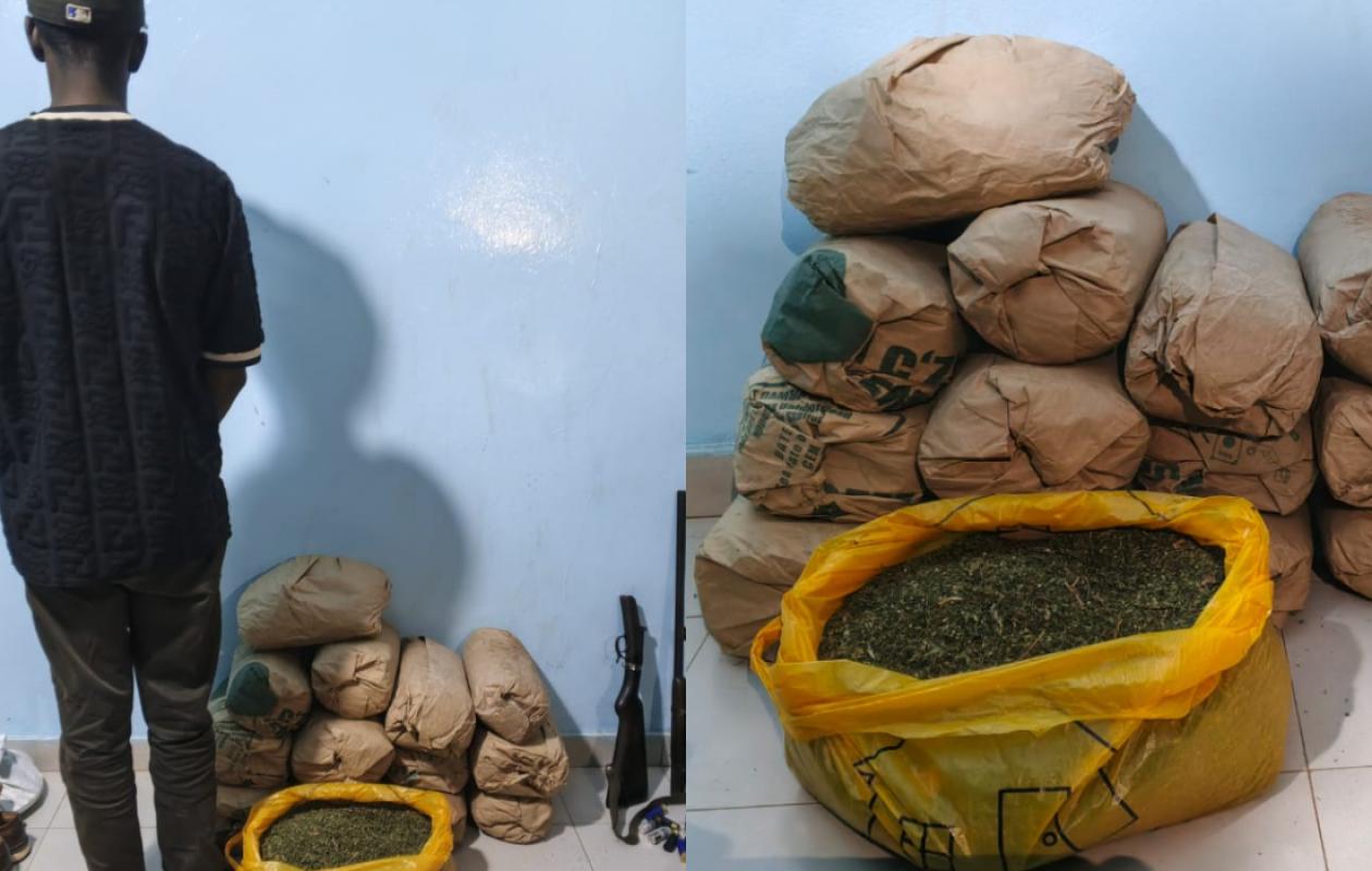 21 kg de drogue, un fusil et des cartouches saisis à Sédhiou : un trafiquant arrêté par la police avec 2 couteaux