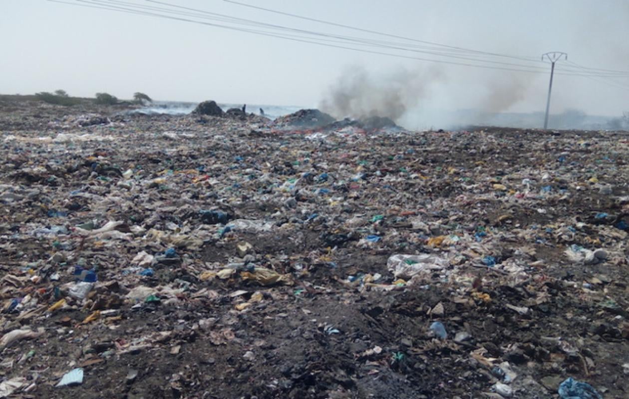 Saint-Louis : Des produits prohibés d’une valeur de plus de 113 millions F CFA détruits à Gandon