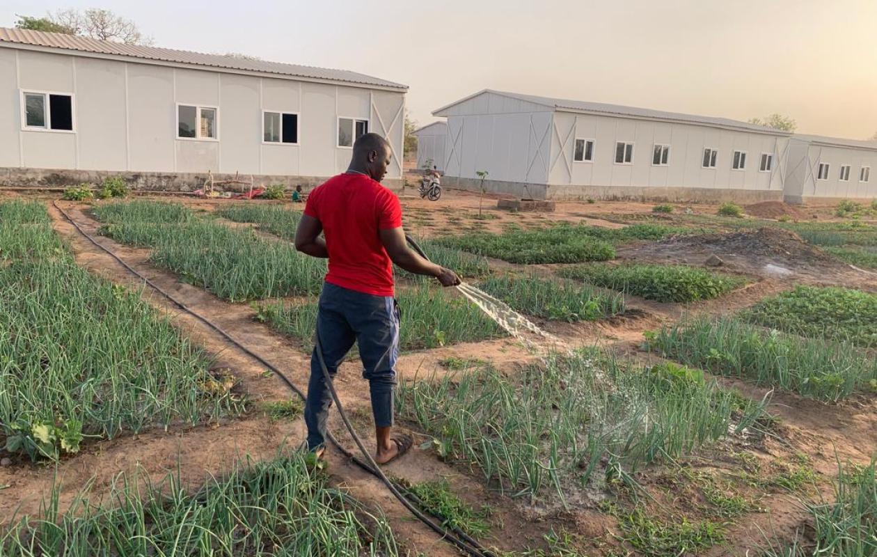 Agriculture résiliente à Sédhiou : Le gouverneur salue les acquis technologiques du projet "Avenir"