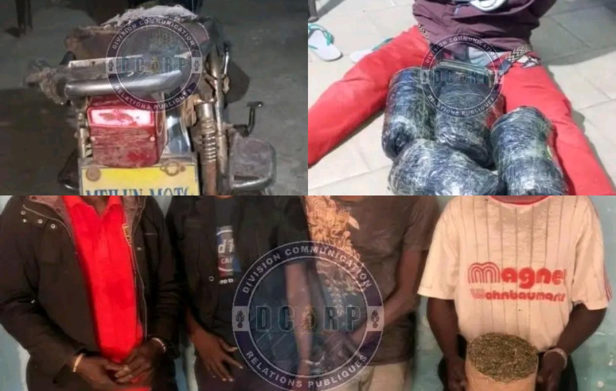 Lutte contre le trafic de drogue : cinq individus interpellés à Sédhiou avec cinq kilos de chanvre indien