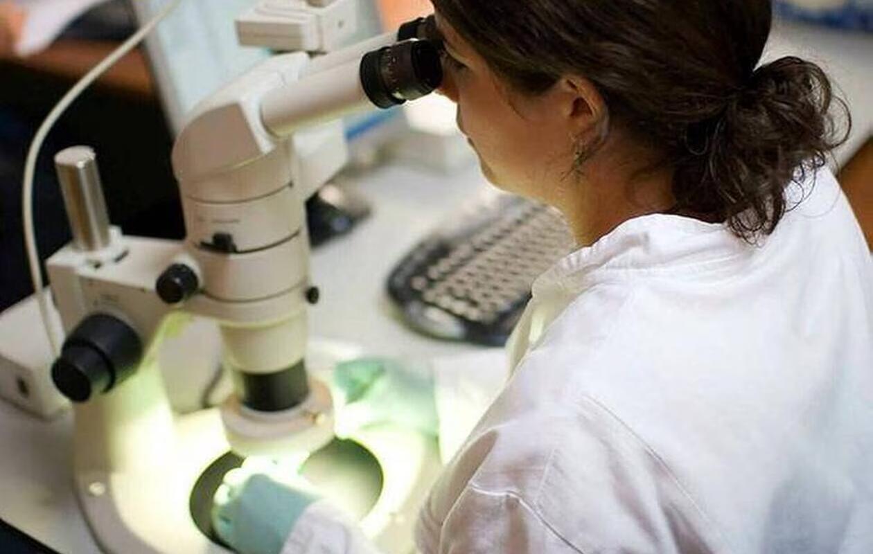 Infection sexuelle : Les autorités américaines inquiètes face à la montée d'un champignon contagieux et rare