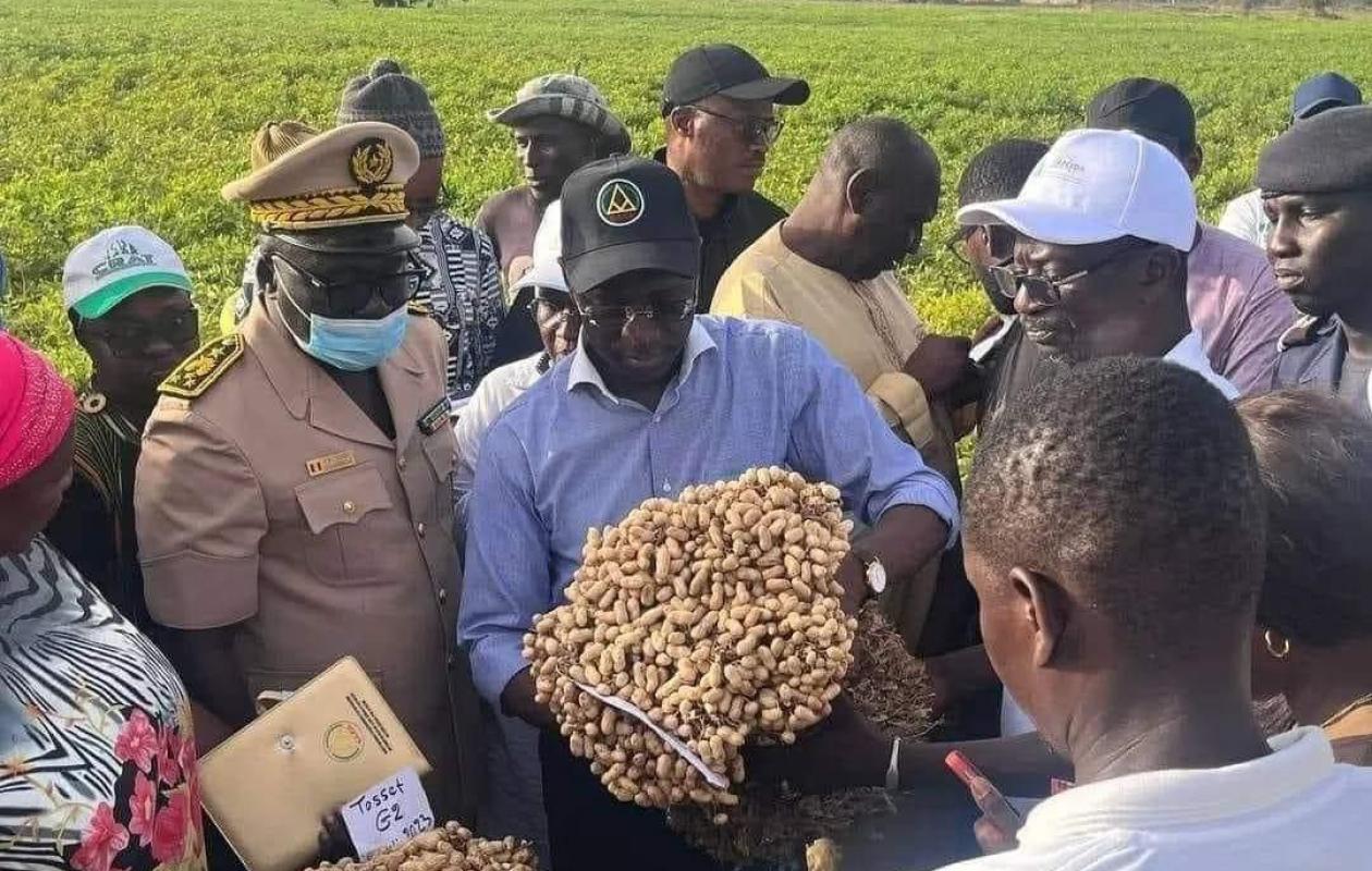 Sénégal 2050 : L’État veut faire des coopératives agricoles communautaires le moteur de la souveraineté alimentaire