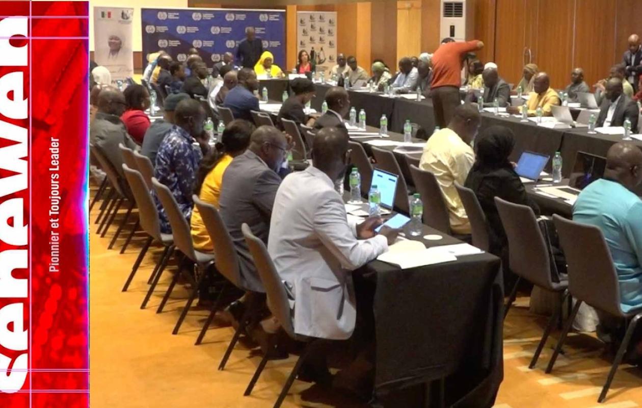 Couverture Maladie Universelle : Vers la fin de la fragmentation des régimes de santé