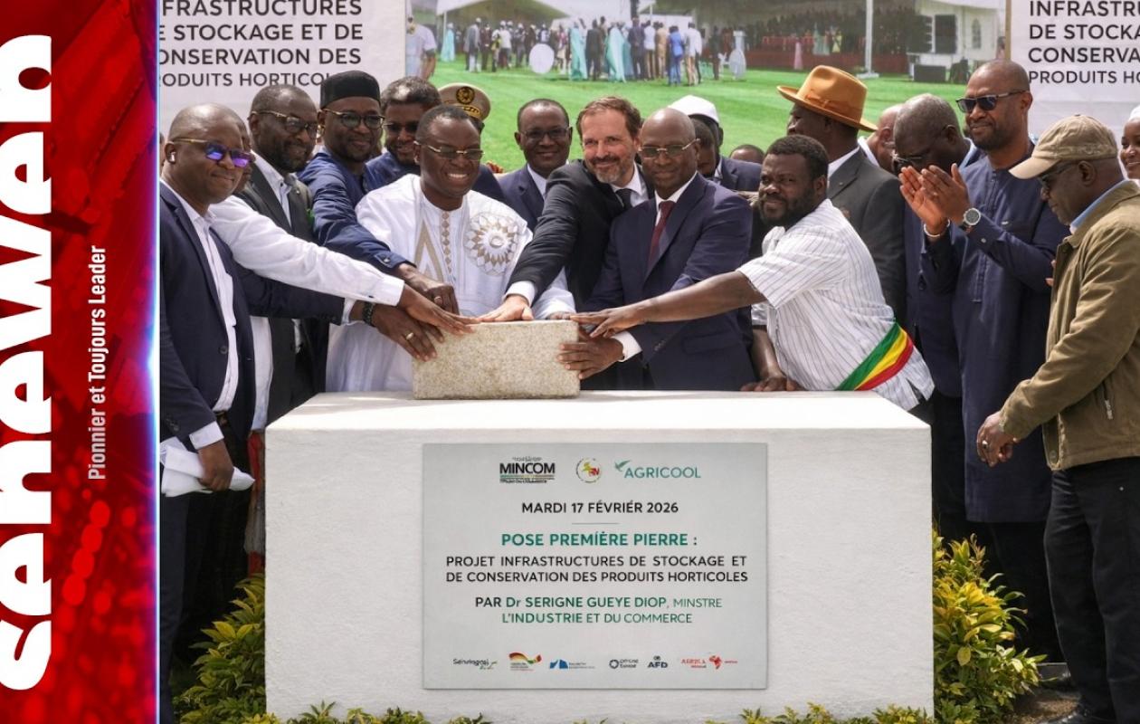 Souveraineté alimentaire : le Sénégal lance l'offensive contre les pertes post-récoltes à Ngomène