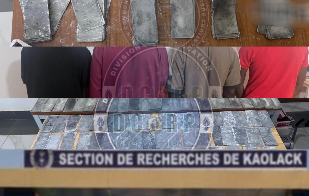 100 millions de FCFA en faux billets saisis : 4 trafiquants, dont 2 étrangers, arrêtés par la SR de Kaolack