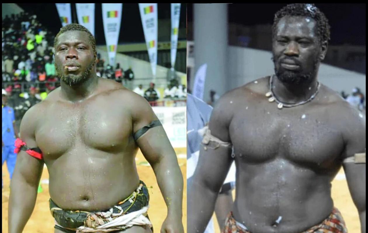 Lutte : Franc–Boy Niang 2, un choc de rêve sur la bonne voie