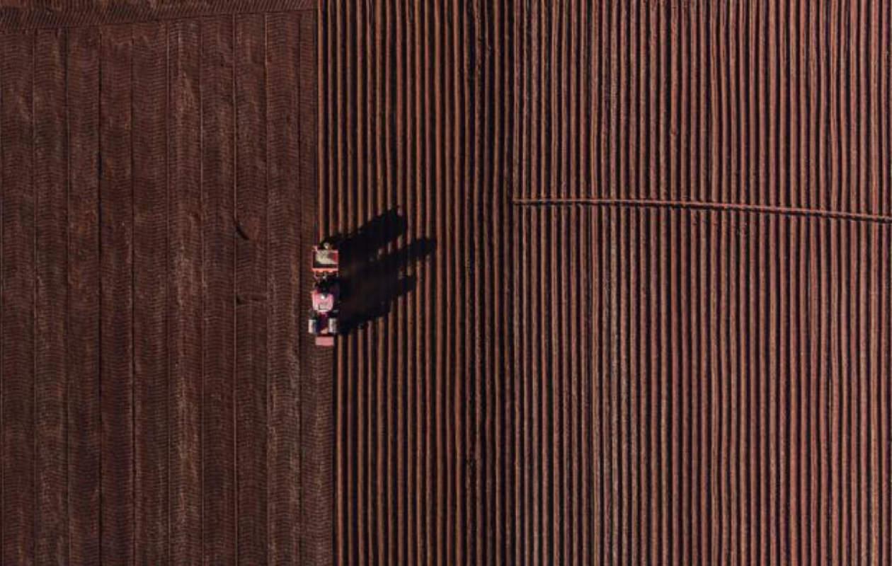 Zimbabwe: des fermiers blancs se tournent vers Trump pour accélérer leur indemnisation