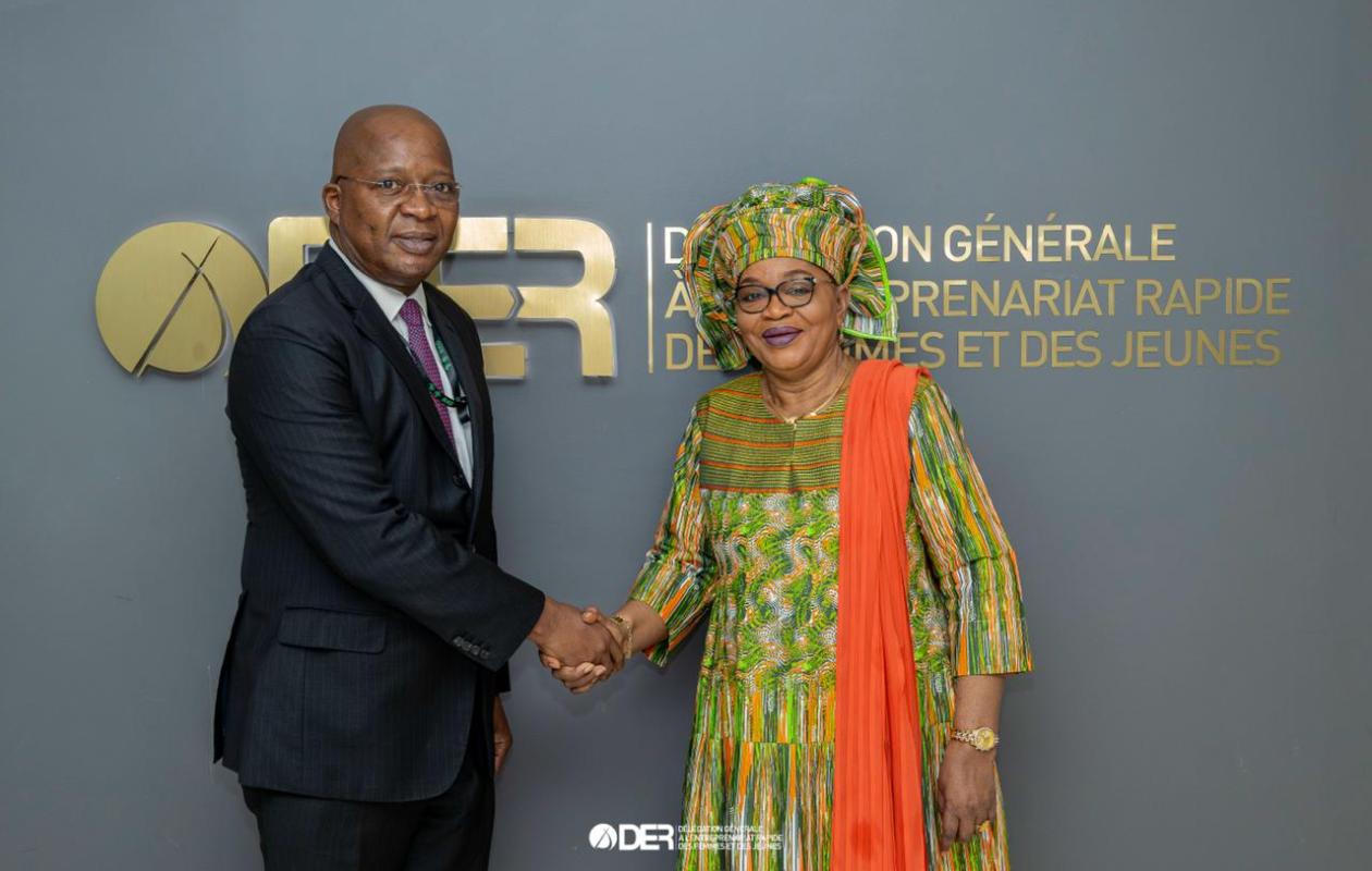 Visite de courtoisie: le nouveau représentant de la BAD réaffirme son engagement envers la DER/FJ et le PAVIE 2