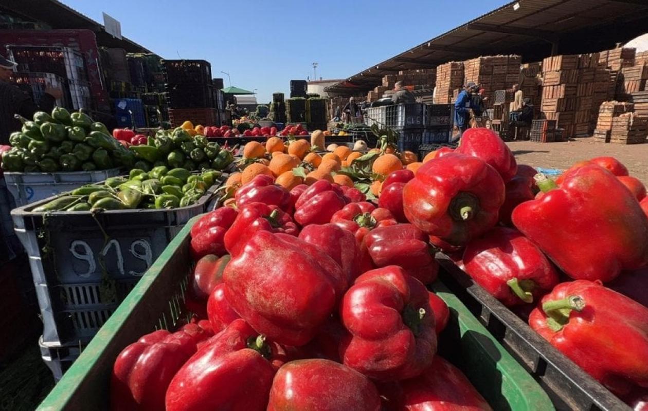 Ramadan à Kolda : Le marché central affiche le plein de fruits et légumes à prix cassés