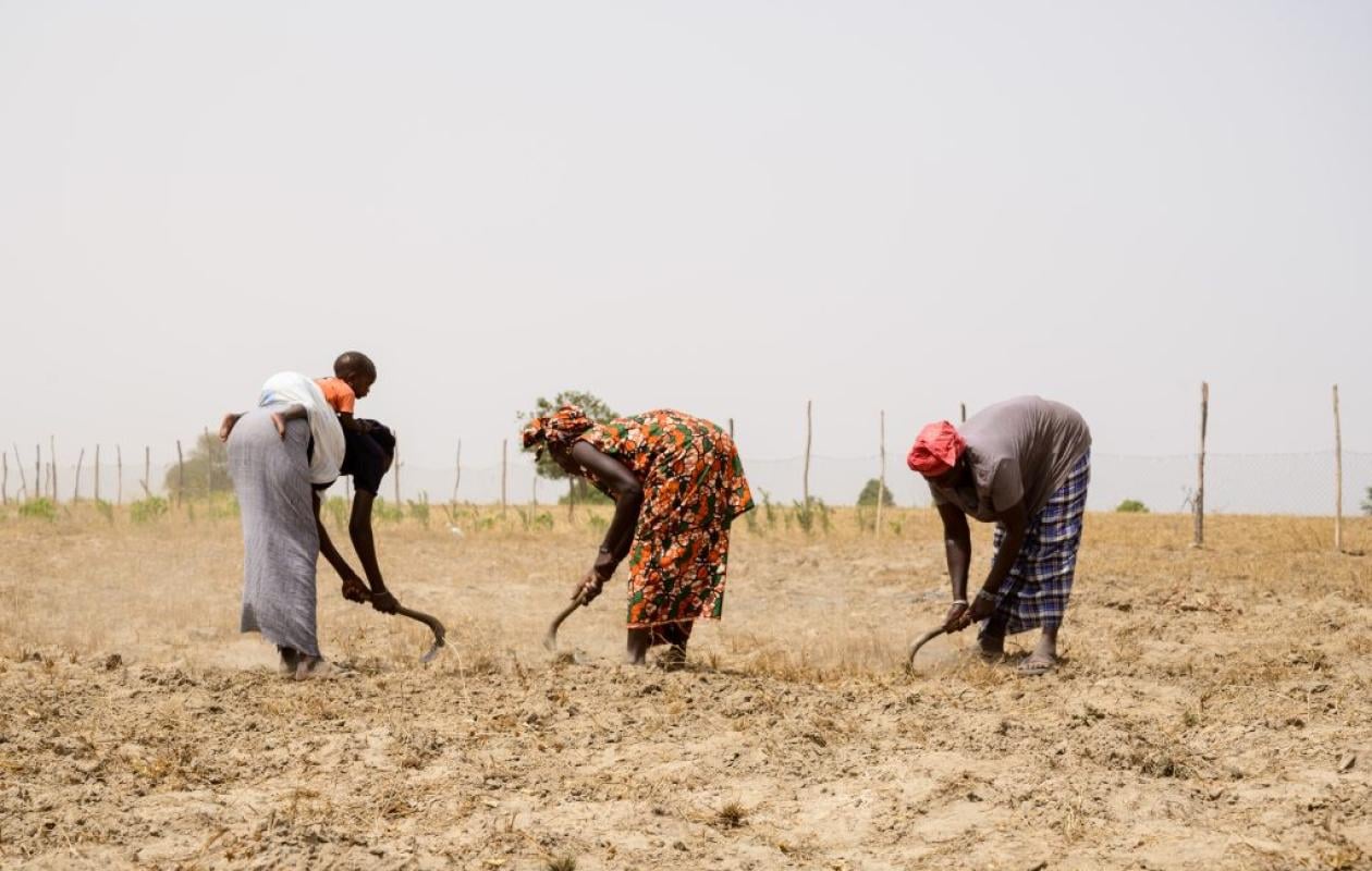 Relance de la réforme foncière : Ne pas marginaliser les communautés de base qui en sont les premières bénéficiaires