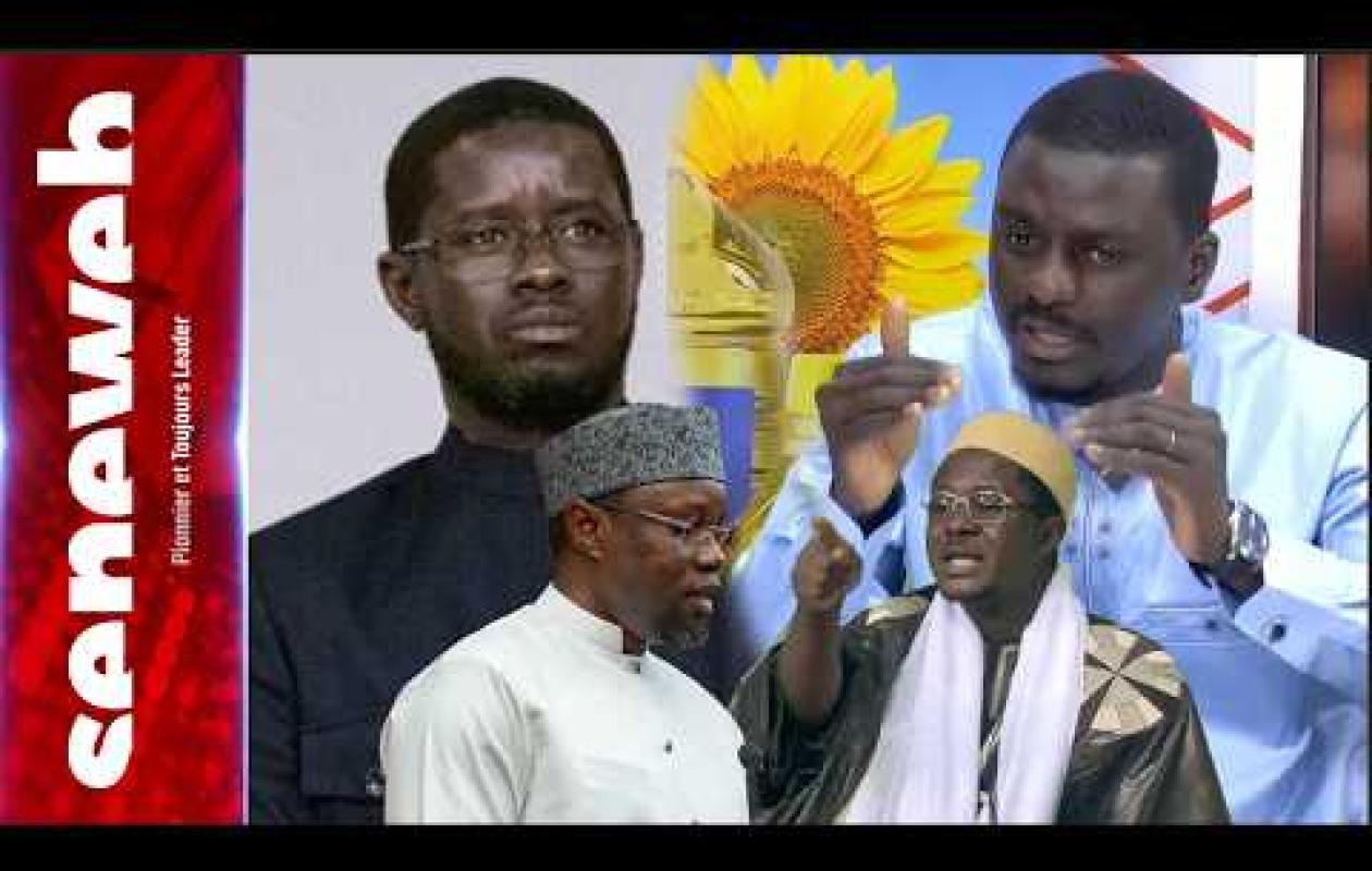 "Il Y Aura Des Sanctions": Une Mauvaise Nouvelle Pour Cheikh Bara Annoncée par SG Adjoint du Pastef