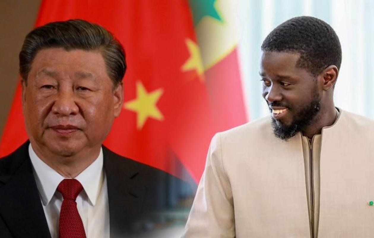 Zéro droit de douane : faire du vaste marché chinois une grande opportunité pour le Sénégal et l’Afrique