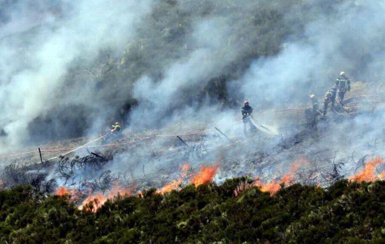 Gambie : De vastes champs de cannabis incendiés par la police sur l'île de Jinack