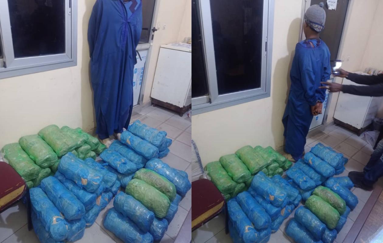 Karang : 49 kg de yamba, une machette et un berger, l'OCRTIS frappe un grand coup en forêt