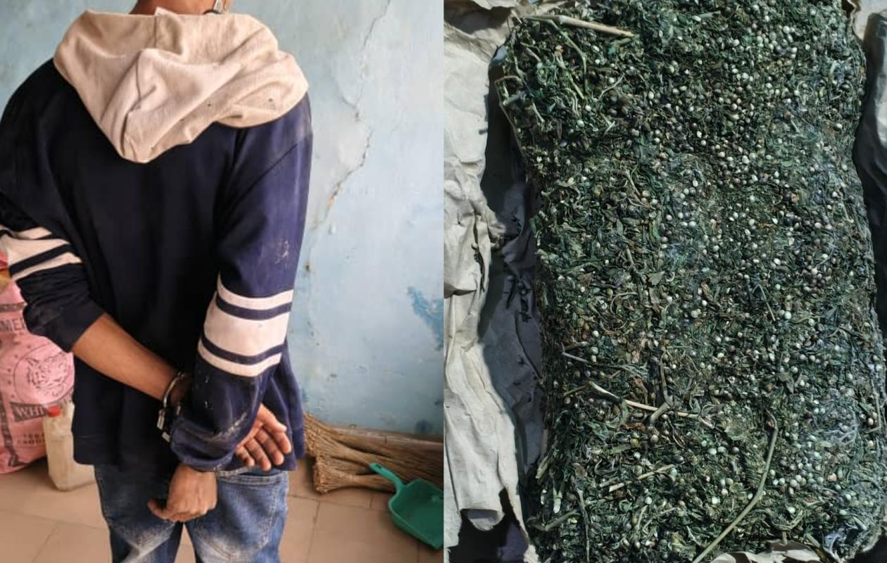 Sédhiou : Un étudiant en sociologie tombe avec 3 kg de chanvre indien après une course-poursuite