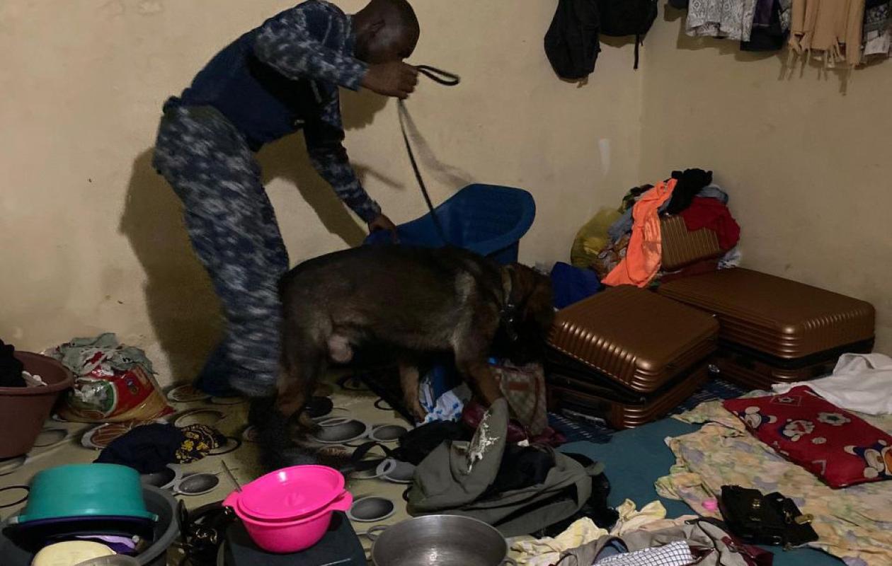 Drogue, sexe et vols : La brigade de Tivaouane-Peulh démantèle un repaire de malfaiteurs