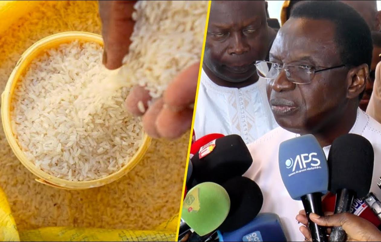 Le Gouvernement veut faciliter l'intégration du riz local dans les circuits commerciaux
