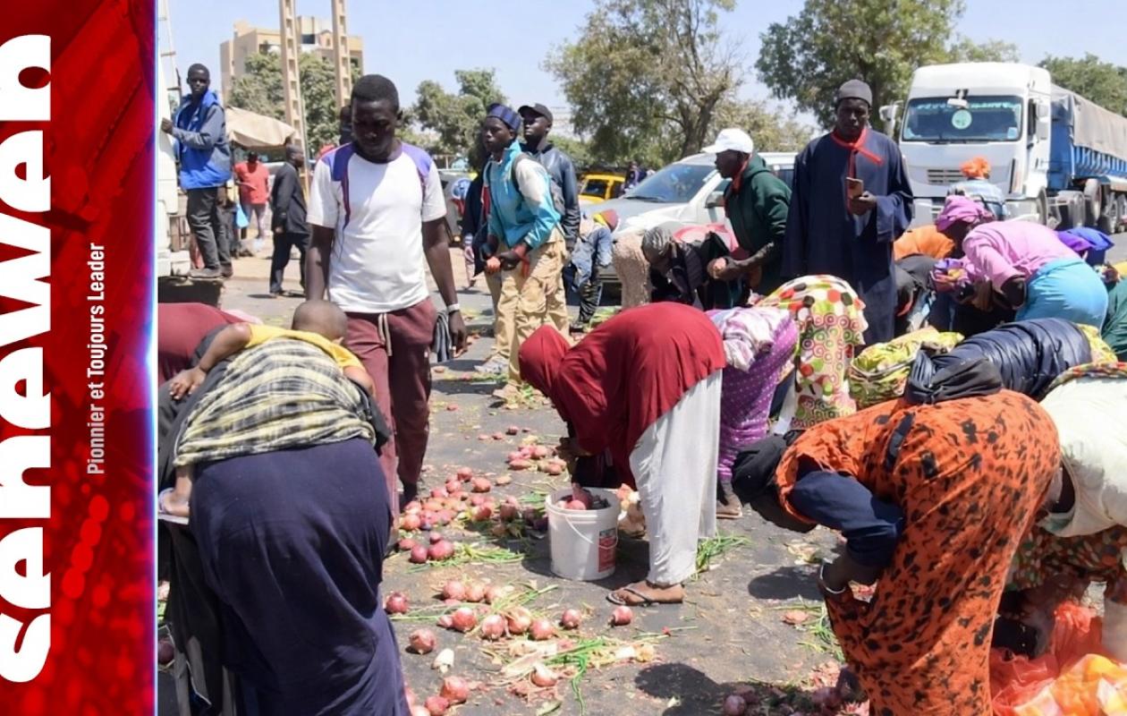 Colère à KM50 : Les agriculteurs jettent leurs récoltes d'oignons et de pommes de terre dans la rue