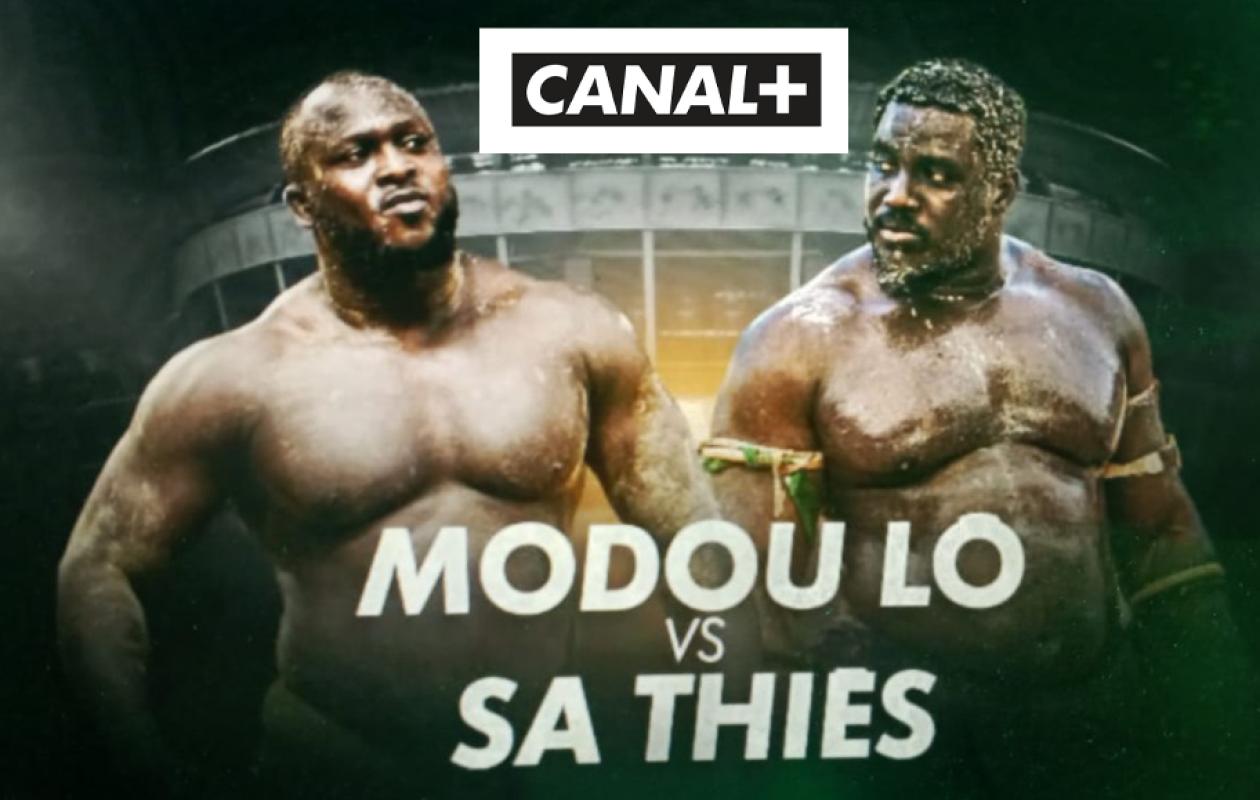 Lutte : Canal+ s’invite dans l’arène et diffuse le choc Modou Lô–Sa Thiès dans 48 pays
