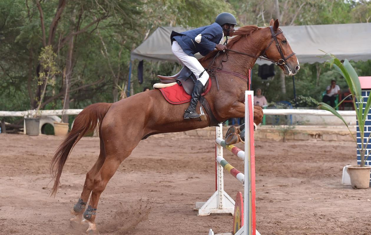 Saut d’obstacles : les cavaliers en compétition au Racing Club de Dakar