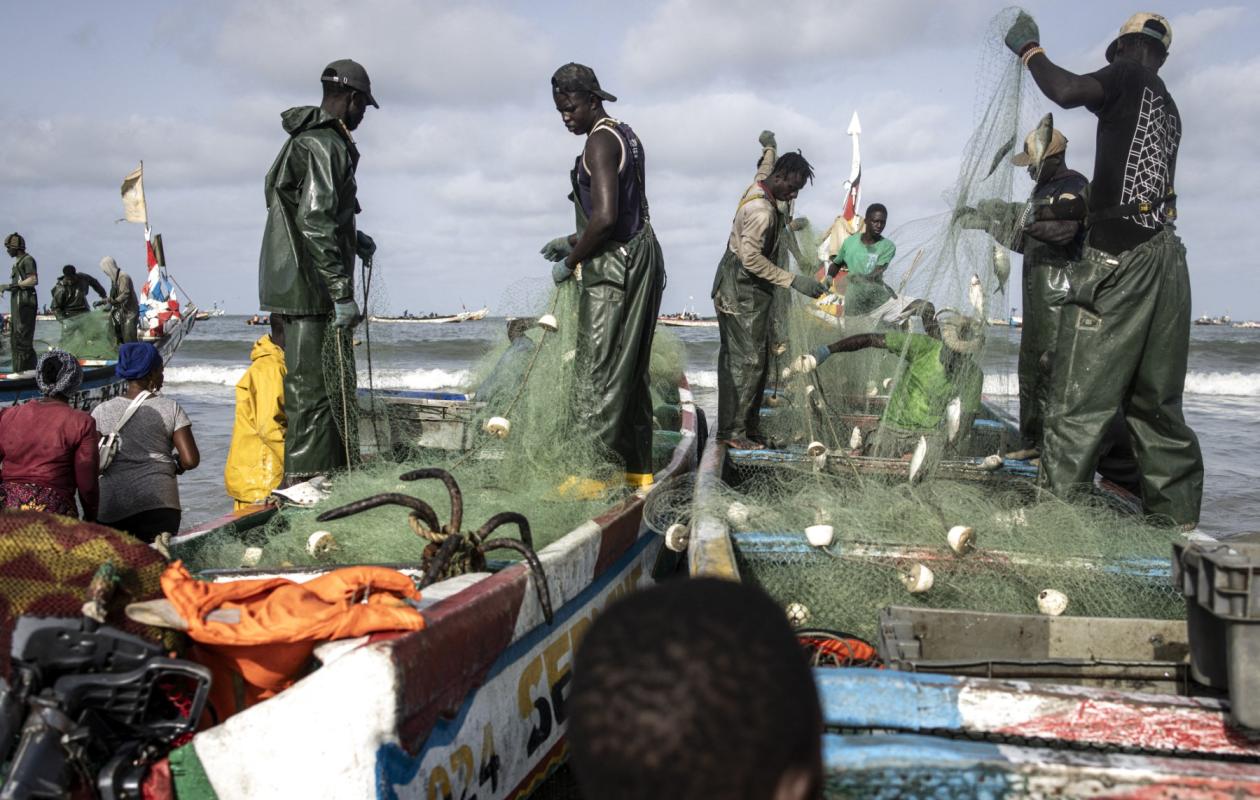 Pêche au Sénégal : Pourquoi le pays laisse filer des milliards en valeur ajoutée