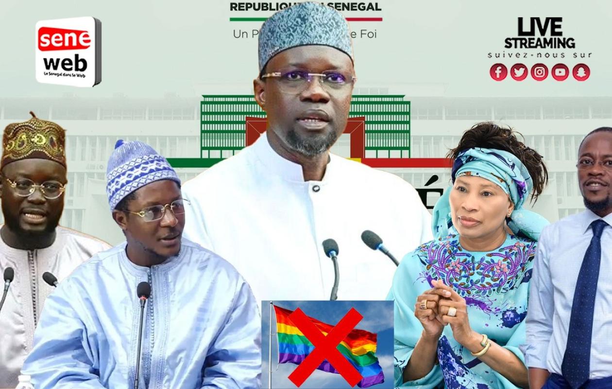 Loi Contre l'homosexualité: Suivez la Plénière à l'Assemblée