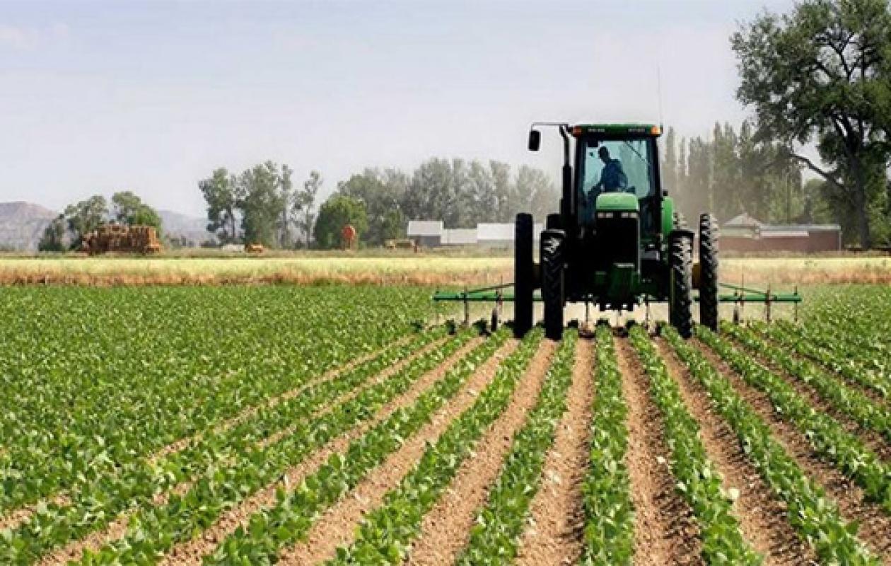 Agriculture sénégalaise :  La productivité reste le point de blocage