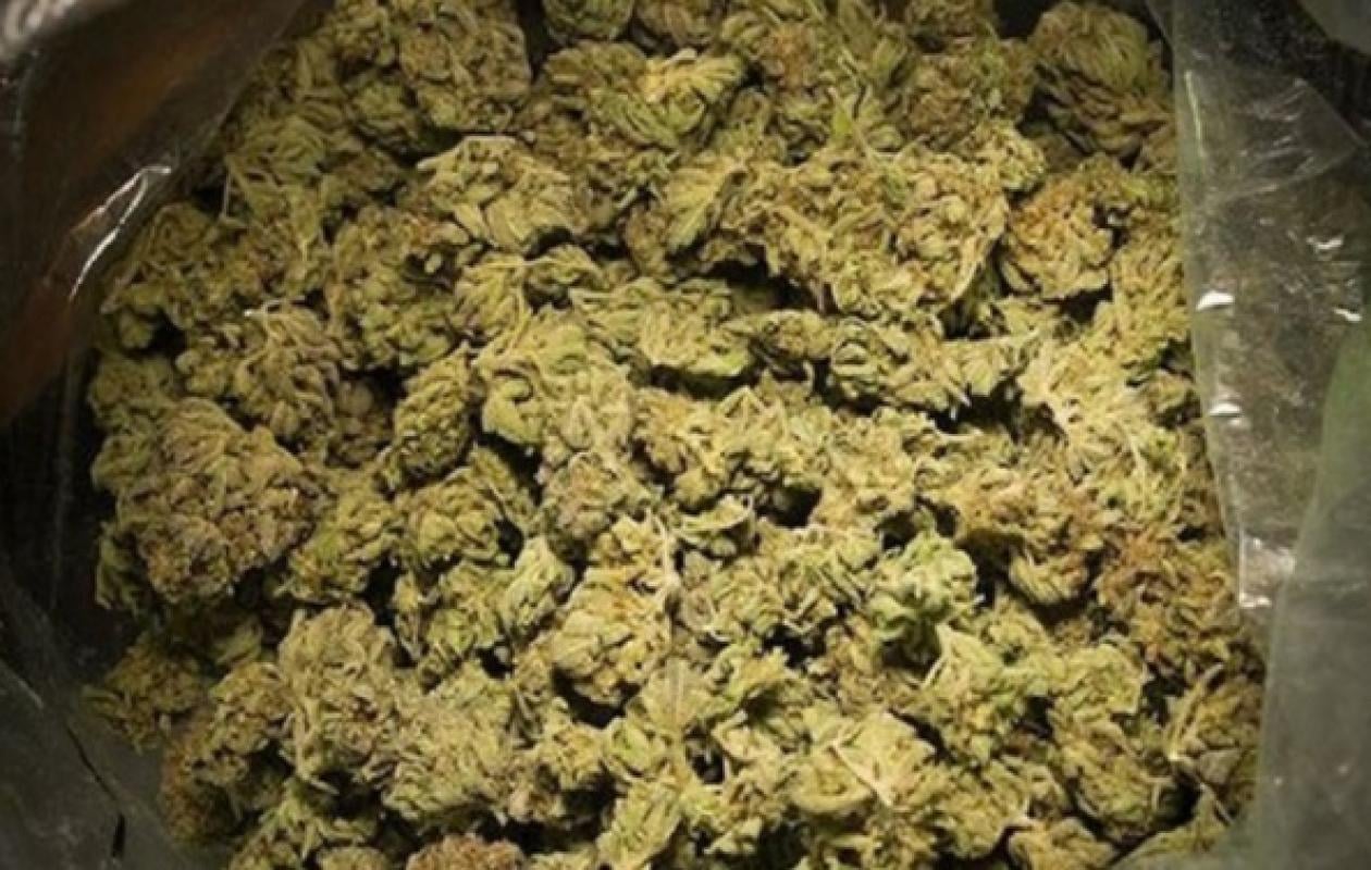 Kaffrine : Le sexagénaire interpellé en possession d’un kilo de chanvre indien condamné à 2 ans de prison ferme