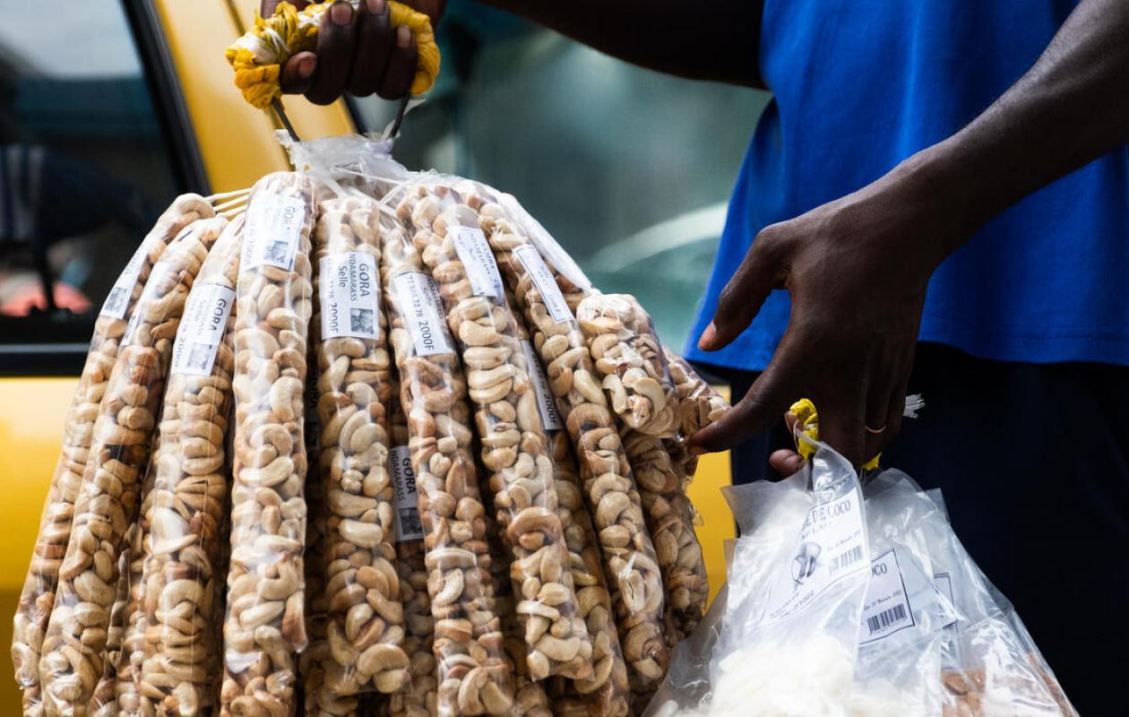 Guinée-Bissau : commercialisation de noix de cajou 2026, le gouvernement alerte sur des pertes liées à la contre la contrebande