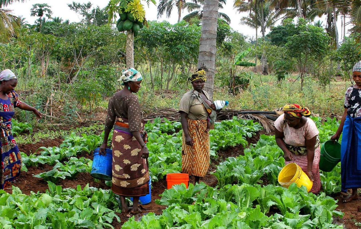 Le rôle des femmes dans le développement de la Guinée : Une force essentielle pour l’avenir du pays