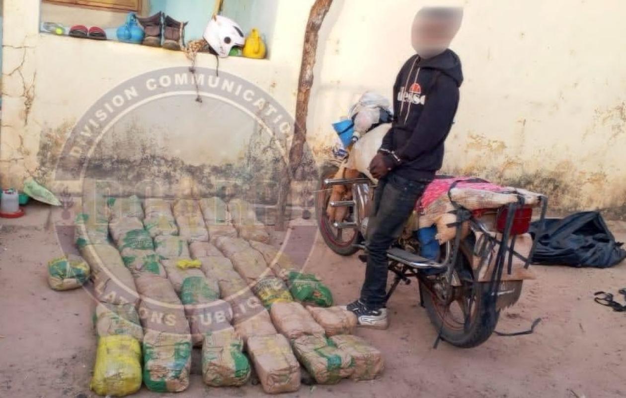 Sédhiou : un motocycliste intercepté avec 43 kg de chanvre indien après une course-poursuite