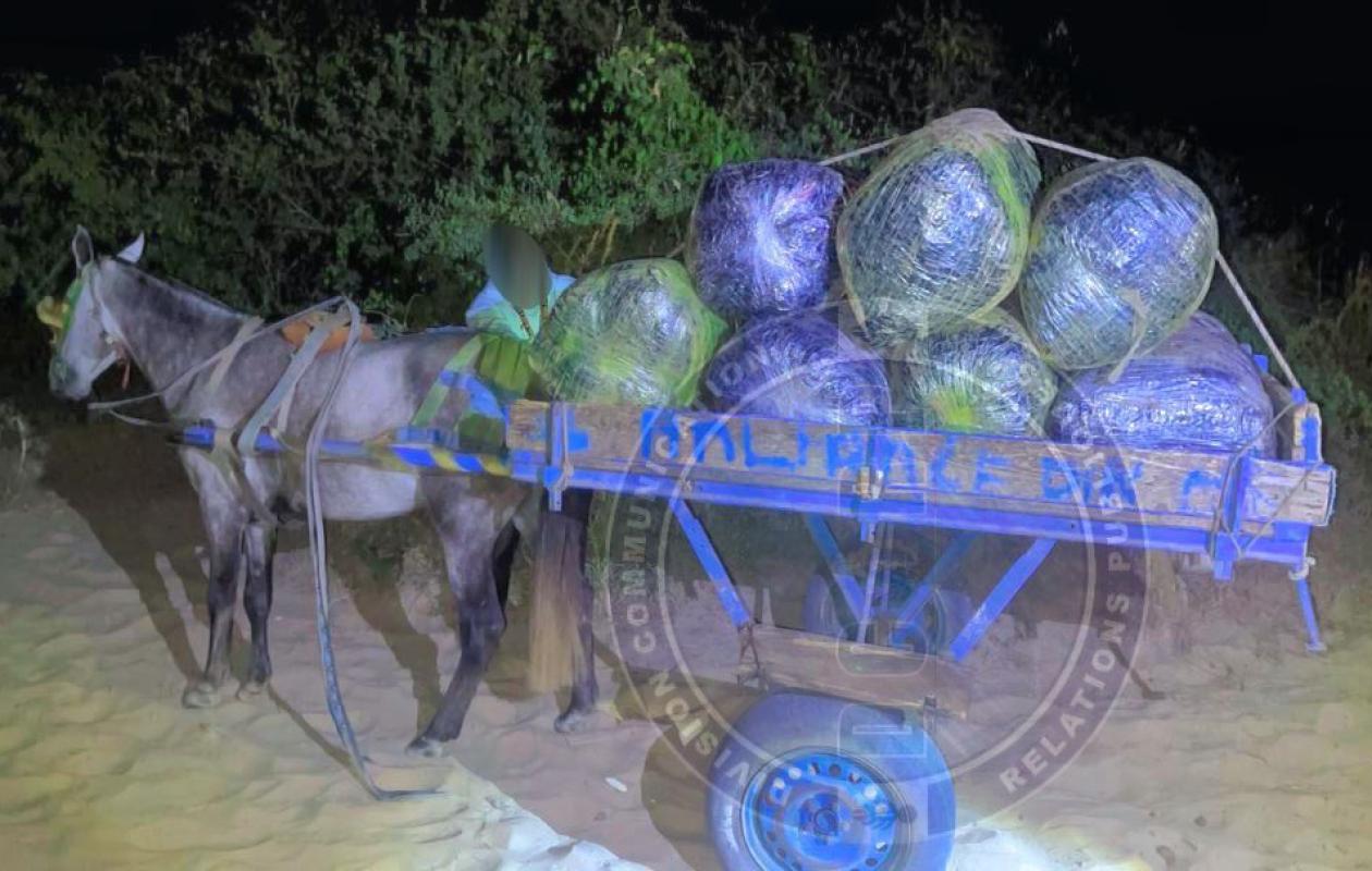 Joal : 510 kg de chanvre indien saisis par la BR de Saly, les trafiquants en fuite