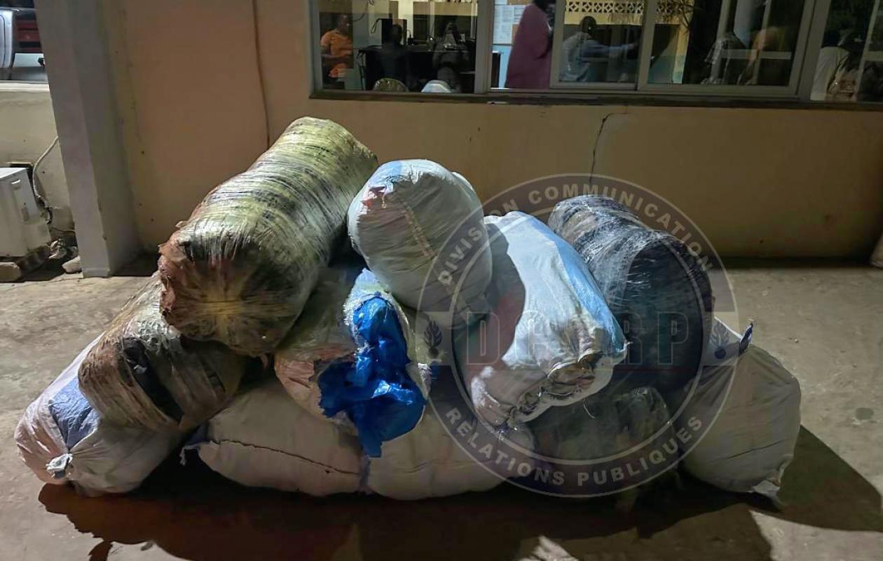 Mbour : 840 kg de chanvre indien saisis par la BR de Saly et 7 trafiquants arrêtés en 72 heures