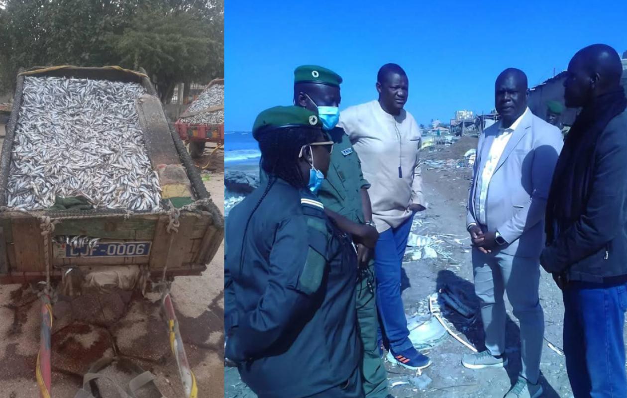 « Nous ne tolérerons plus » : Le message musclé du ministère des Pêches après des saisies records