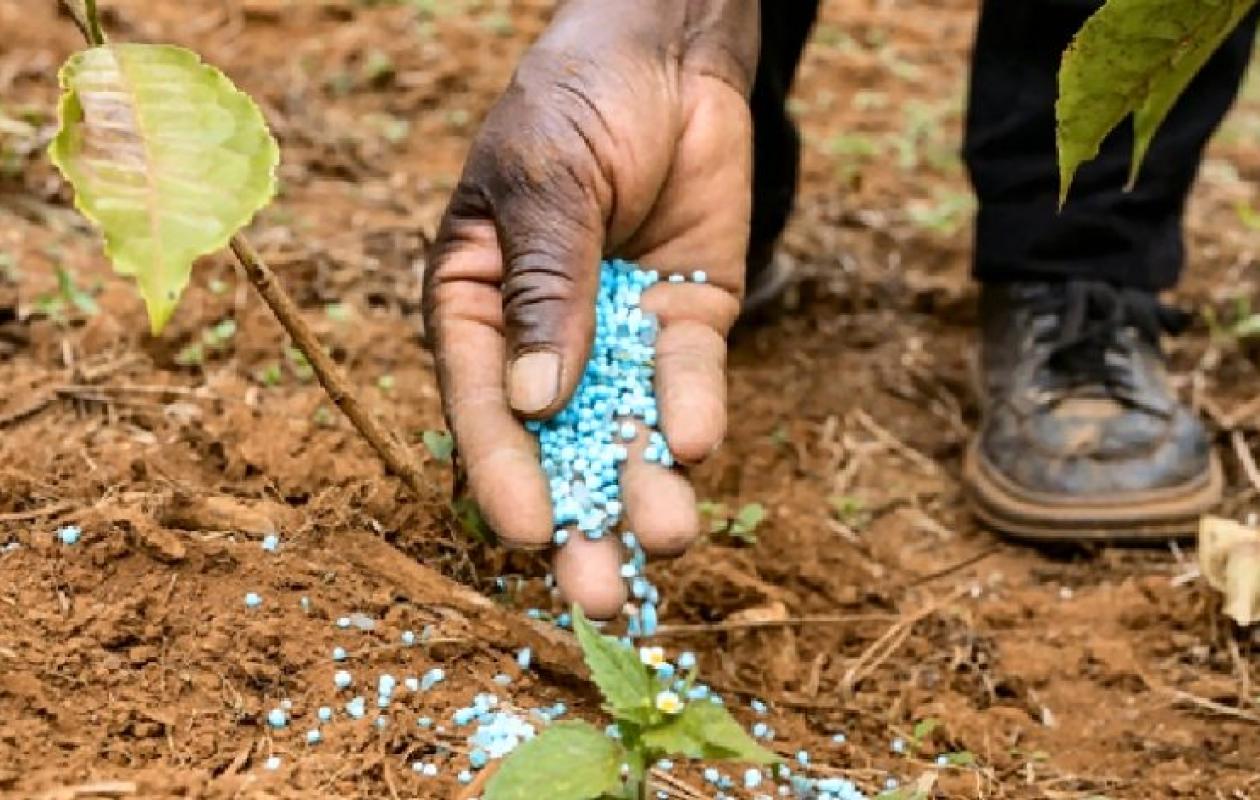 Guerre au Moyen-Orient: de l'Asie et jusqu'en Afrique, des agricultures très exposées