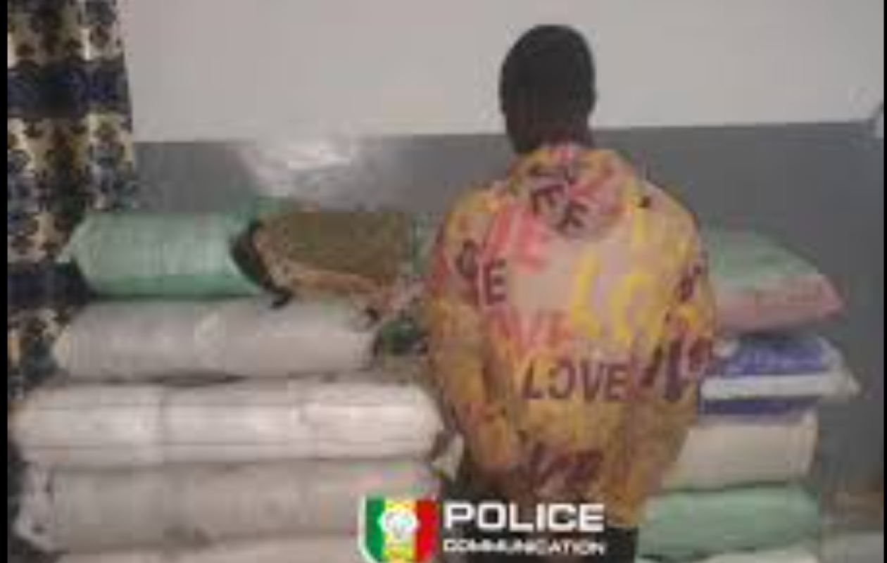 Sédhiou : 80 kg de chanvre indien saisis par l’OCRTIS