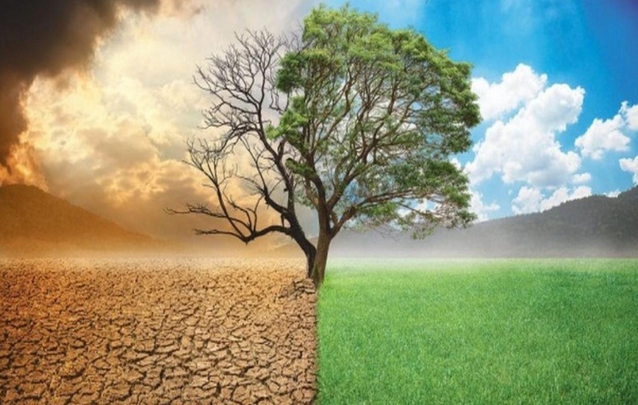 Changement climatique : Le Sénégal face aux défis de la transition durable