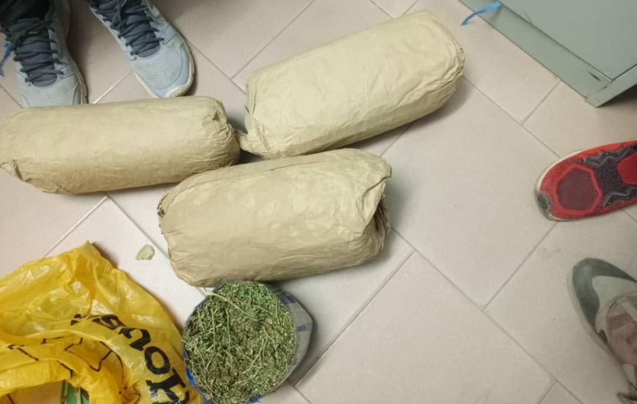 Ziguinchor : un pêcheur arrêté à son domicile avec 3,5 kg de chanvre indien